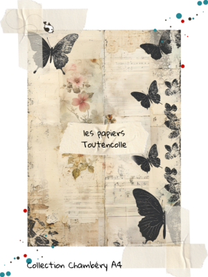 Collection Chambéry 25 - page 8