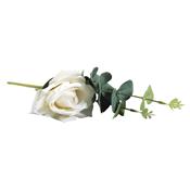 Rose avec eucalyptus blanche 28cm
