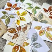 Tampon EAB53 par Alison Bomber