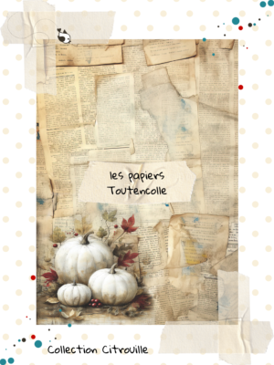 Collection Citrouilles - Page 3