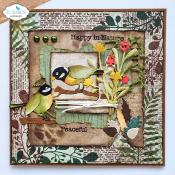 Birds & Dwellings - Everyday Elements