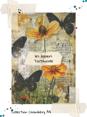 Collection Chambéry 25 - page 9