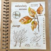 Tampon EAB53 par Alison Bomber