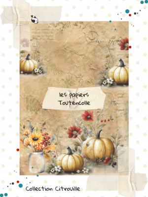 Collection Citrouilles - Page 7