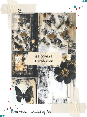 Collection Chambéry 25 - page 7