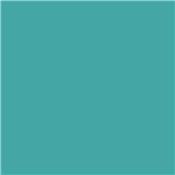 Marqueur Amsterdam Vert Turquoise 661 - S