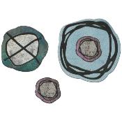 Seth Apter thinlits die - Twisters