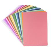 Papier cartonn muted colors - 80 feuilles 