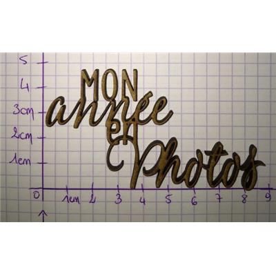 Mon année en photos