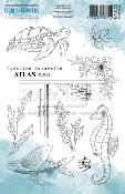 Tampon Atlas tome II <br> Nautique