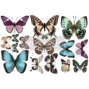 Transferts Dcors <br> Butterfly