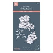 BetterPress plate and die set - Cherry blossom - Kyoto