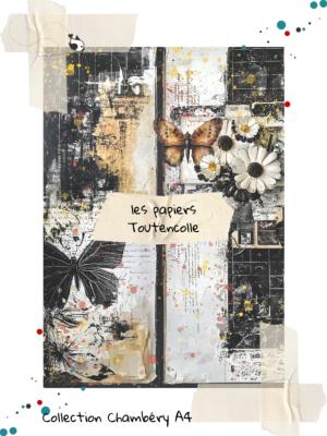 Collection Chambéry 25 - page 10